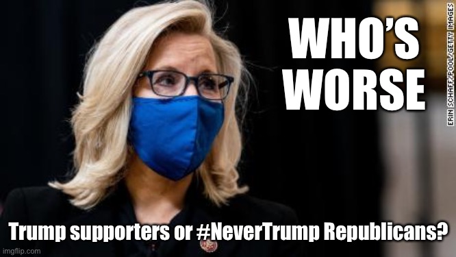 How racist/retrograde do you have to be to still call yourself a Republican after 4+ years of Trumpian abuse? | WHO’S WORSE; Trump supporters or #NeverTrump Republicans? | image tagged in liz cheney,republicans,scumbag republicans,nevertrump,republican party,trump to gop | made w/ Imgflip meme maker