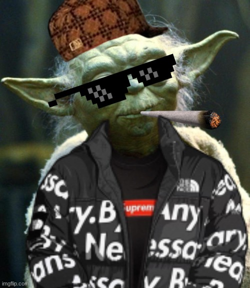 image tagged in hipster,yoda | made w/ Imgflip meme maker
