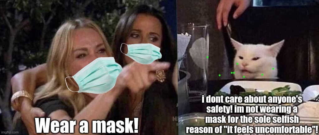 woman yelling at cat | Wear a mask! i dont care about anyone's safety! im not wearing a mask for the sole selfish reason of "it feels uncomfortable"! | image tagged in woman yelling at cat | made w/ Imgflip meme maker