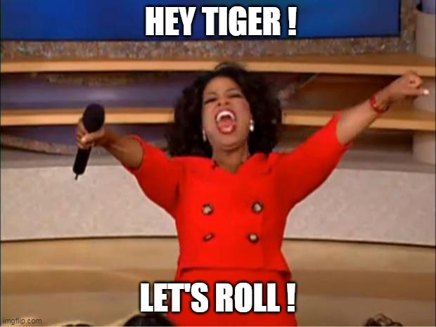 Let's Roll! | HEY TIGER ! LET'S ROLL ! | image tagged in memes,oprah you get a | made w/ Imgflip meme maker