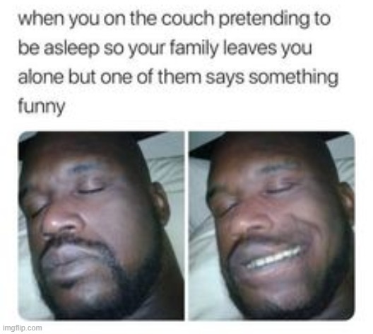 Found this off of Google. Do I need to put credentials? | image tagged in haha,relatable,sleeping shaq,smirk | made w/ Imgflip meme maker