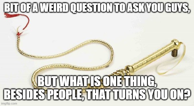 Weird Question, But I Have Some Sudden Curiosity... | BIT OF A WEIRD QUESTION TO ASK YOU GUYS, BUT WHAT IS ONE THING, BESIDES PEOPLE, THAT TURNS YOU ON? | image tagged in golden whip,turns you on,memes,question | made w/ Imgflip meme maker