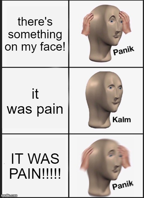Does anyone know what this is from? | there's something on my face! it was pain; IT WAS PAIN!!!!! | image tagged in memes,panik kalm panik | made w/ Imgflip meme maker