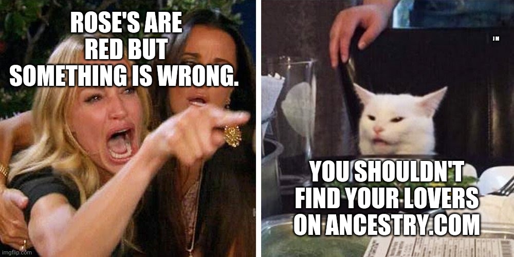 Smudge the cat | ROSE'S ARE RED BUT SOMETHING IS WRONG. J M; YOU SHOULDN'T FIND YOUR LOVERS ON ANCESTRY.COM | image tagged in smudge the cat | made w/ Imgflip meme maker