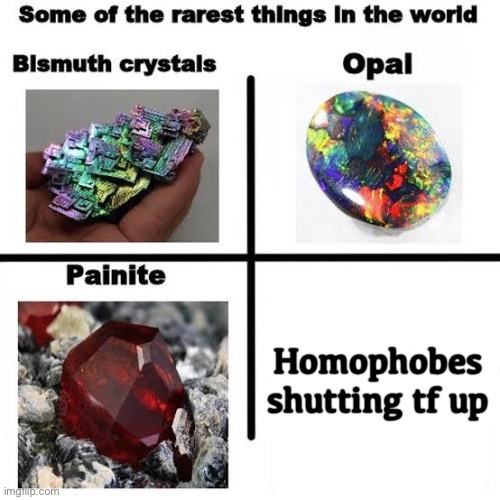Some of the rarest things in the world | Homophobes shutting tf up | image tagged in some of the rarest things in the world | made w/ Imgflip meme maker
