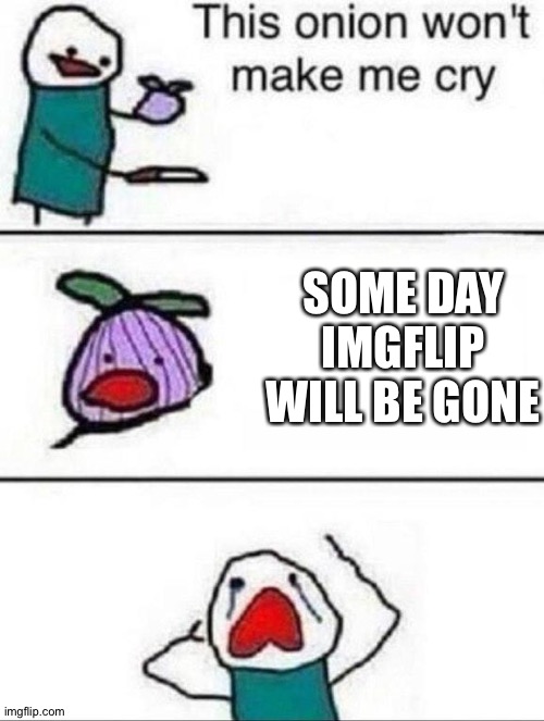 Sadly | SOME DAY IMGFLIP WILL BE GONE | image tagged in this onion wont make me cry | made w/ Imgflip meme maker