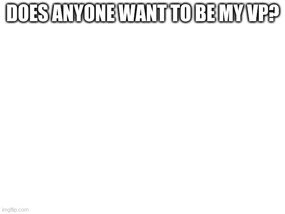Blank White Template | DOES ANYONE WANT TO BE MY VP? | image tagged in blank white template | made w/ Imgflip meme maker