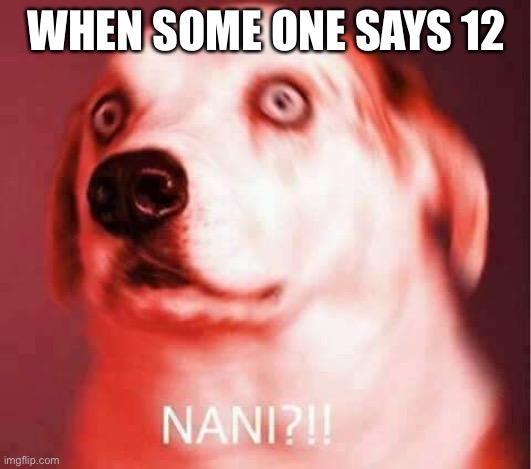 Nani? | WHEN SOME ONE SAYS 12 | image tagged in nani | made w/ Imgflip meme maker