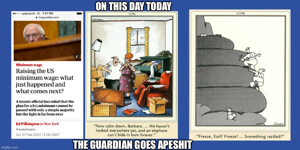 The Far Side Claims Bernie Sanders | ON THIS DAY TODAY; THE GUARDIAN GOES APESHIT | image tagged in minimum wage,gary larson,bernie sanders,democrats,elephant in the room,meanwhile on imgflip | made w/ Imgflip meme maker