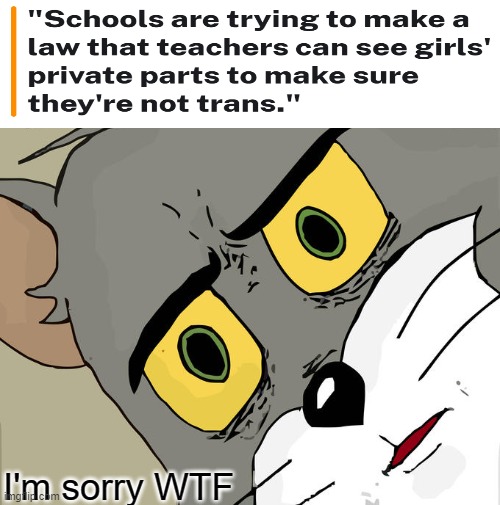 why | I'm sorry WTF | image tagged in memes,unsettled tom,oh god why | made w/ Imgflip meme maker