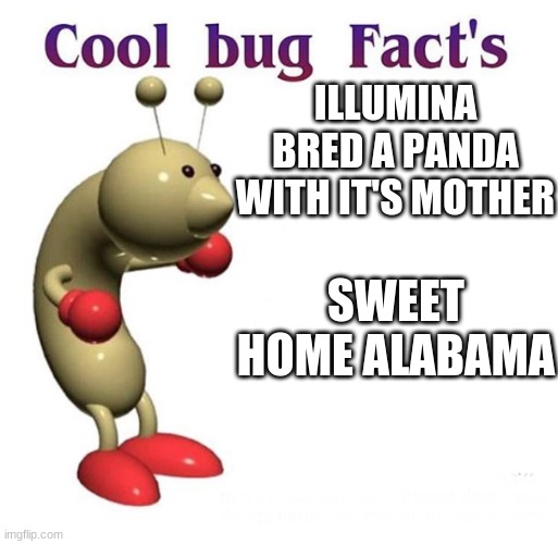 Cool Bug Facts | ILLUMINA BRED A PANDA WITH IT'S MOTHER; SWEET HOME ALABAMA | image tagged in cool bug facts | made w/ Imgflip meme maker