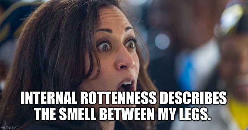 kamala harriss | INTERNAL ROTTENNESS DESCRIBES THE SMELL BETWEEN MY LEGS. | image tagged in kamala harriss | made w/ Imgflip meme maker