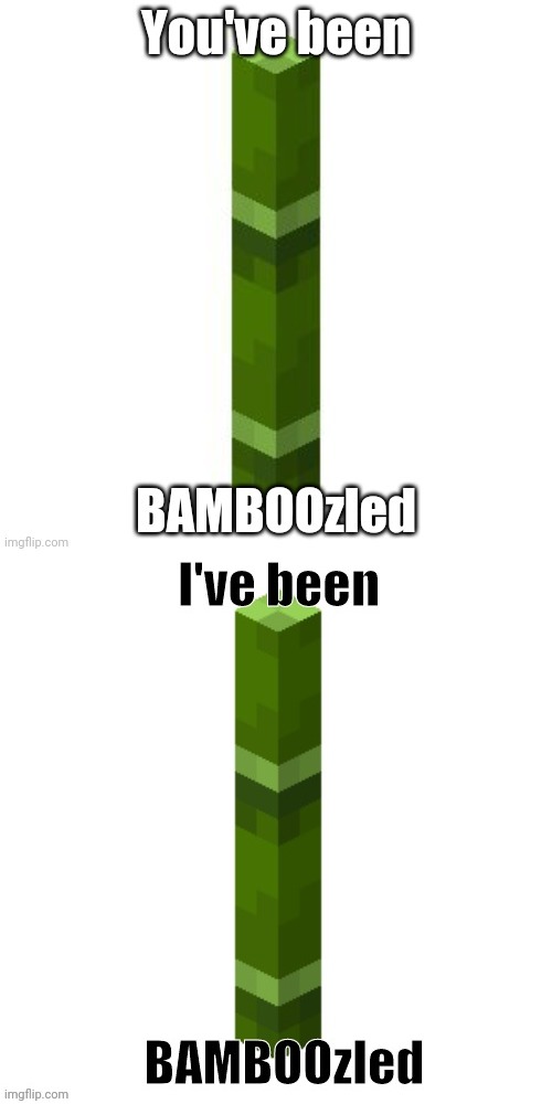 image tagged in bamboozled,i've been bamboozled | made w/ Imgflip meme maker