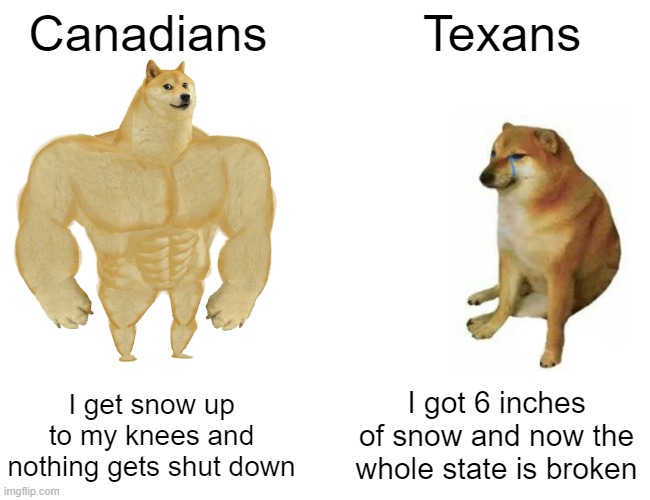 Buff Doge vs. Cheems Meme | Canadians; Texans; I get snow up to my knees and nothing gets shut down; I got 6 inches of snow and now the whole state is broken | image tagged in memes,buff doge vs cheems | made w/ Imgflip meme maker