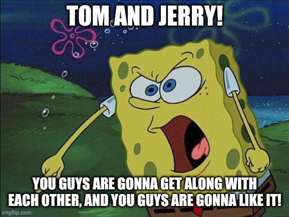 SpongeBob Yells At Tom and Jerry | TOM AND JERRY! YOU GUYS ARE GONNA GET ALONG WITH EACH OTHER, AND YOU GUYS ARE GONNA LIKE IT! | image tagged in spongebob,tom and jerry | made w/ Imgflip meme maker