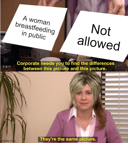 based off dhar mann |  A woman breastfeeding in public; Not allowed | image tagged in memes,they're the same picture,karen,breastfeeding | made w/ Imgflip meme maker