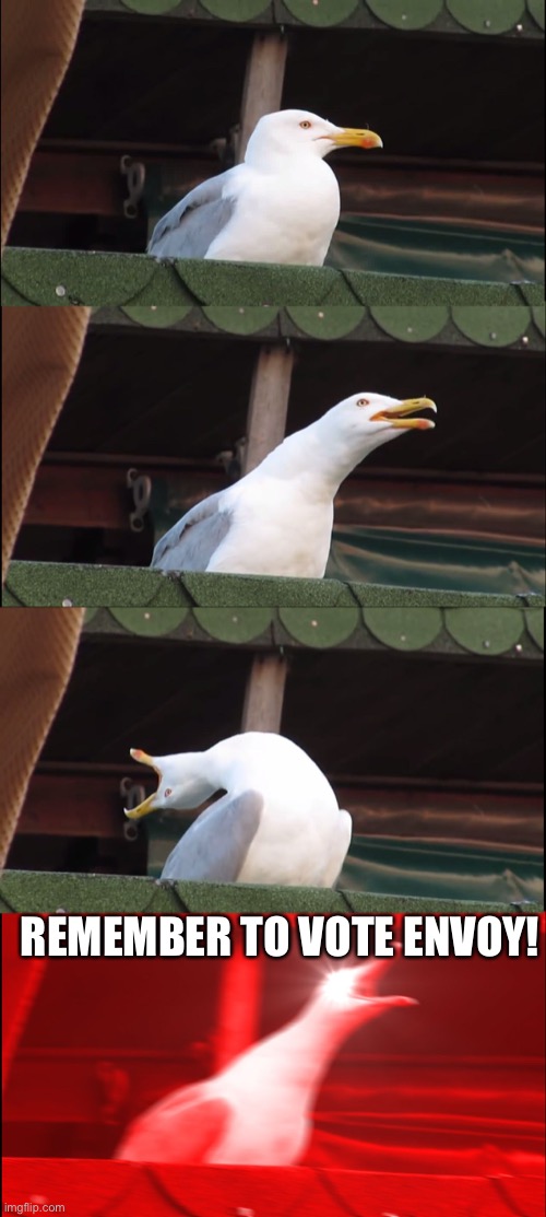 Inhaling Seagull | REMEMBER TO VOTE ENVOY! | image tagged in memes,inhaling seagull | made w/ Imgflip meme maker