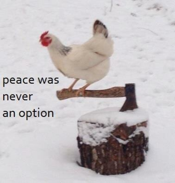 Peace was never a option Blank Meme Template