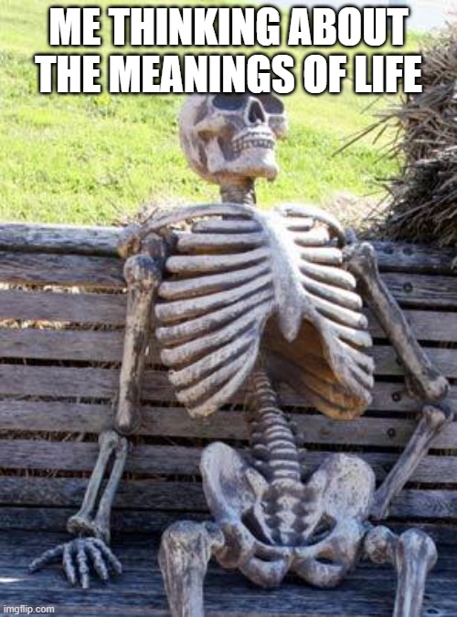 Waiting Skeleton | ME THINKING ABOUT THE MEANINGS OF LIFE | image tagged in memes,waiting skeleton | made w/ Imgflip meme maker