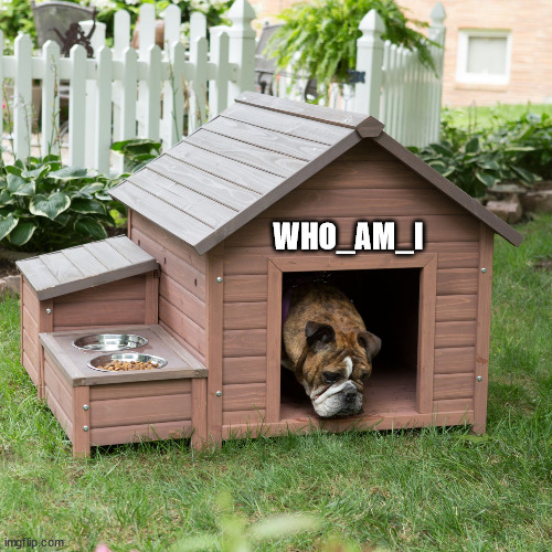 Dog House | WHO_AM_I | image tagged in dog house | made w/ Imgflip meme maker