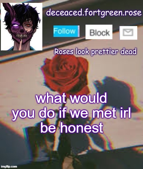 rose template | what would you do if we met irl
be honest | image tagged in rose template | made w/ Imgflip meme maker