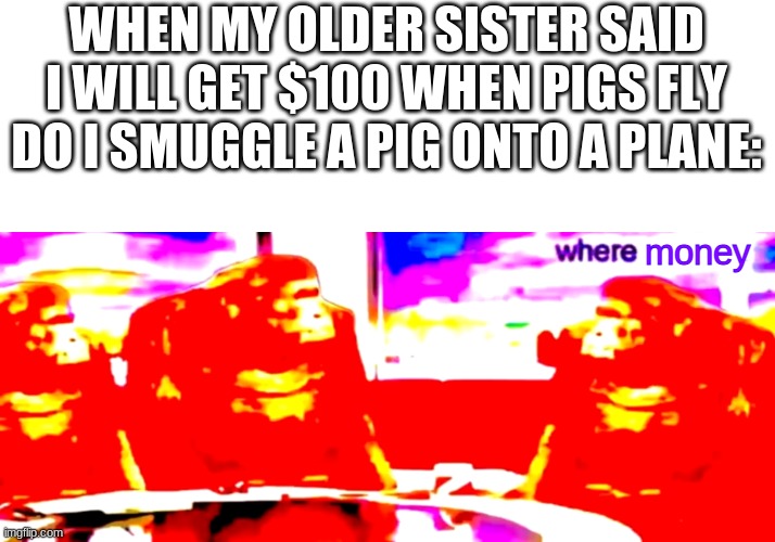 WHERE MONEY HUH | WHEN MY OLDER SISTER SAID I WILL GET $100 WHEN PIGS FLY DO I SMUGGLE A PIG ONTO A PLANE:; money | image tagged in where banana deep fried | made w/ Imgflip meme maker