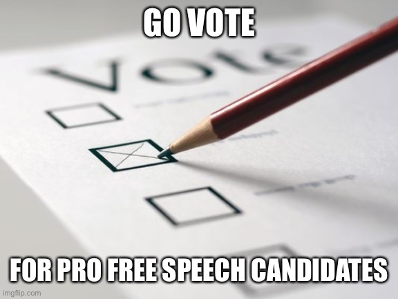 This stream is going to waste if we don’t. | GO VOTE; FOR PRO FREE SPEECH CANDIDATES | image tagged in voting ballot | made w/ Imgflip meme maker