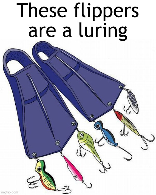 These flippers are a luring | image tagged in eye roll | made w/ Imgflip meme maker