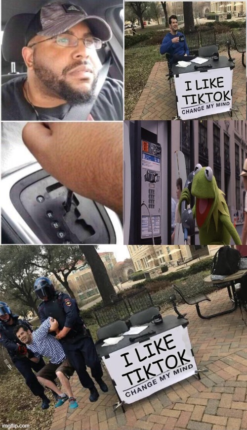 hmmmm | I LIKE TIKTOK; I LIKE TIKTOK | image tagged in car reverse,change my mind guy arrested,never gonna give you up,never gonna let you down,never gonna run around | made w/ Imgflip meme maker