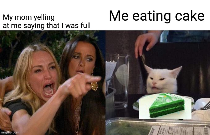 woman yelling at cat | My mom yelling at me saying that I was full; Me eating cake | image tagged in memes,woman yelling at cat | made w/ Imgflip meme maker