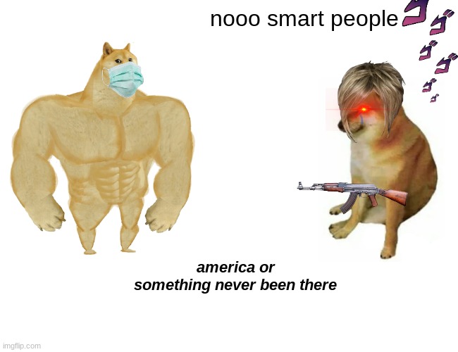 america right? | nooo smart people; america or something never been there | image tagged in memes,buff doge vs cheems | made w/ Imgflip meme maker