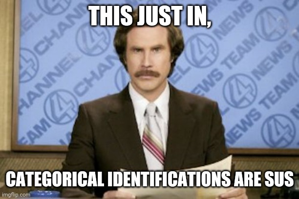 Ron Burgundy Meme | THIS JUST IN, CATEGORICAL IDENTIFICATIONS ARE SUS | image tagged in memes,ron burgundy | made w/ Imgflip meme maker