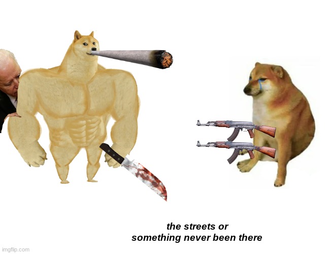wait i think this is the wrong thing | the streets or something never been there | image tagged in memes,buff doge vs cheems | made w/ Imgflip meme maker