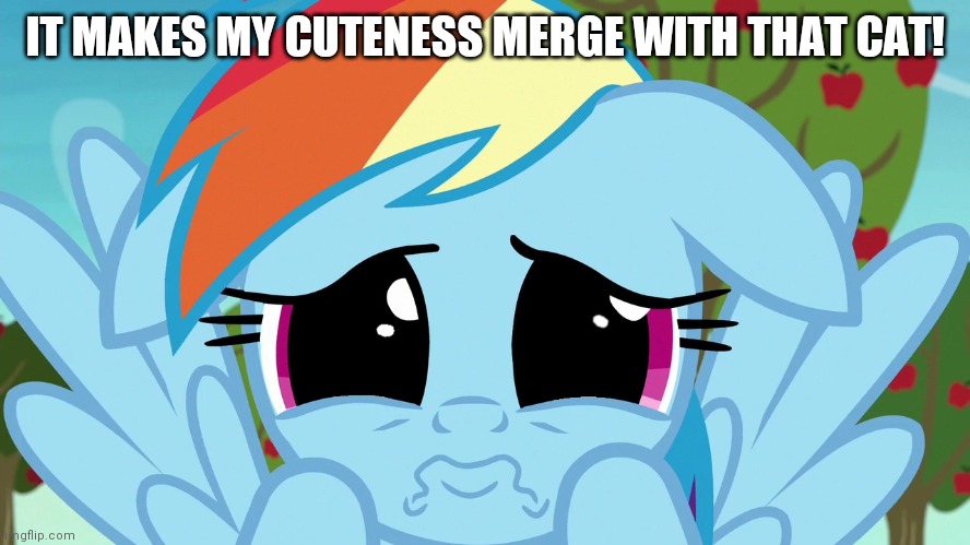 Aww, Rainbow Dash! (MLP) | IT MAKES MY CUTENESS MERGE WITH THAT CAT! | image tagged in aww rainbow dash mlp | made w/ Imgflip meme maker