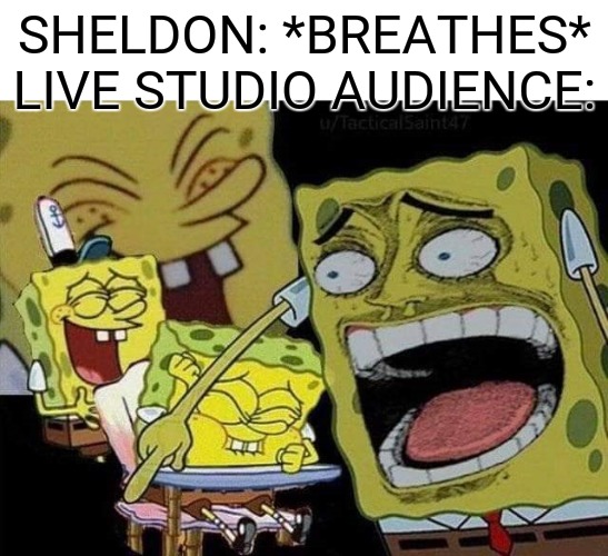 Sheldon Cooper in a nutshell | SHELDON: *BREATHES*
LIVE STUDIO AUDIENCE: | image tagged in spongebob laughing | made w/ Imgflip meme maker