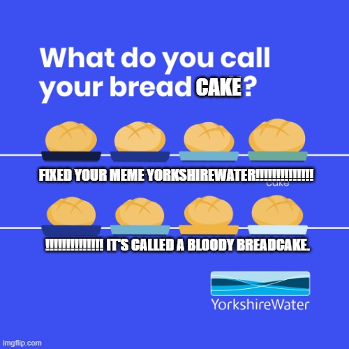 Breadcake | CAKE; FIXED YOUR MEME YORKSHIREWATER!!!!!!!!!!!!!!                         
                                                                                  !!!!!!!!!!!!!! IT'S CALLED A BLOODY BREADCAKE. | image tagged in bread cake | made w/ Imgflip meme maker