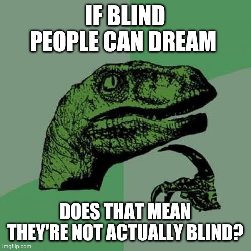 Philosoraptor | IF BLIND PEOPLE CAN DREAM; DOES THAT MEAN THEY'RE NOT ACTUALLY BLIND? | image tagged in memes,philosoraptor | made w/ Imgflip meme maker