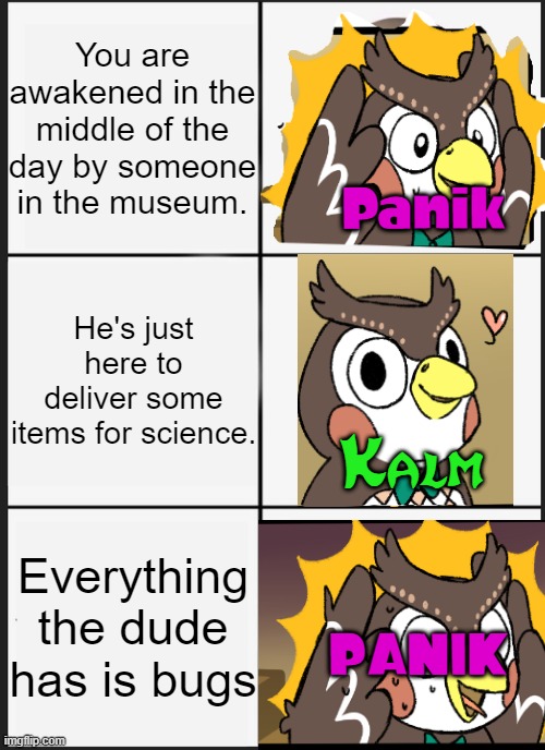 Blathers when the only exibit not filled is the bug exibit | You are awakened in the middle of the day by someone in the museum. Panik; He's just here to deliver some items for science. Kalm; Everything the dude has is bugs; PANIK | image tagged in memes,panik kalm panik | made w/ Imgflip meme maker