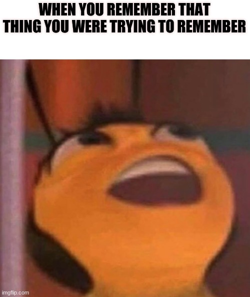 Bee Movie | WHEN YOU REMEMBER THAT THING YOU WERE TRYING TO REMEMBER | image tagged in bee movie | made w/ Imgflip meme maker