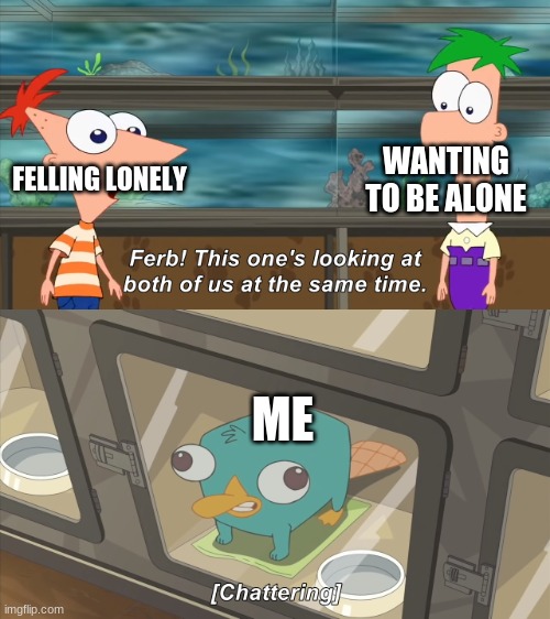 both is better | WANTING TO BE ALONE; FELLING LONELY; ME | image tagged in phineas and ferb | made w/ Imgflip meme maker