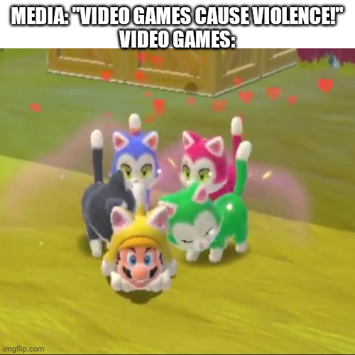 MEDIA: "VIDEO GAMES CAUSE VIOLENCE!"
VIDEO GAMES: | image tagged in super mario,media,cats | made w/ Imgflip meme maker