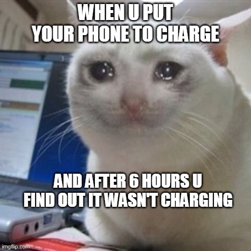 Crying cat | WHEN U PUT YOUR PHONE TO CHARGE; AND AFTER 6 HOURS U FIND OUT IT WASN'T CHARGING | image tagged in crying cat | made w/ Imgflip meme maker