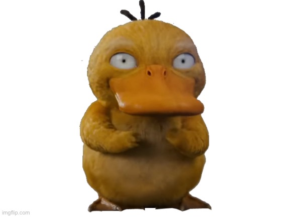 Blank White Template | image tagged in blank white template | made w/ Imgflip meme maker