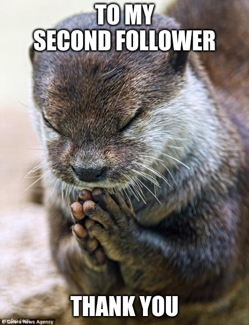 thank you so much | TO MY SECOND FOLLOWER; THANK YOU | image tagged in thank you lord otter | made w/ Imgflip meme maker
