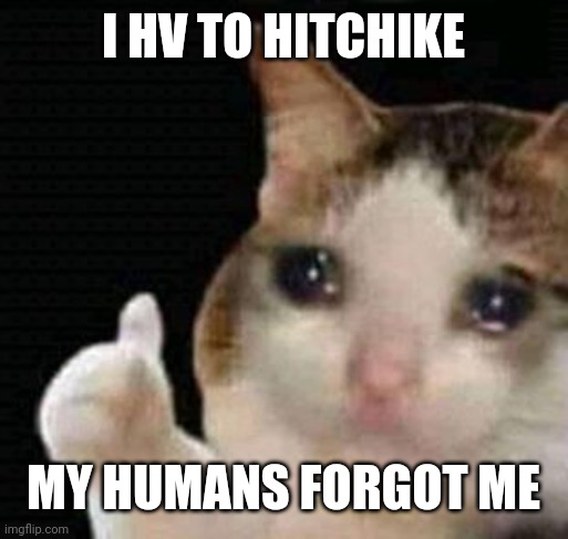 sad thumbs up cat | I HV TO HITCHIKE; MY HUMANS FORGOT ME | image tagged in sad thumbs up cat | made w/ Imgflip meme maker