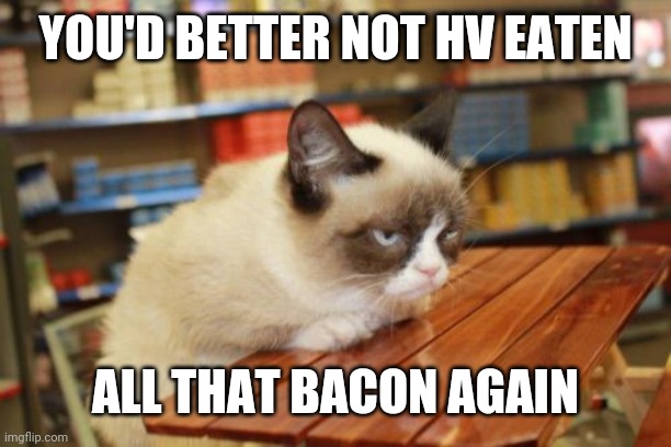 Grumpy Cat Table Meme | YOU'D BETTER NOT HV EATEN; ALL THAT BACON AGAIN | image tagged in memes,grumpy cat table,grumpy cat | made w/ Imgflip meme maker