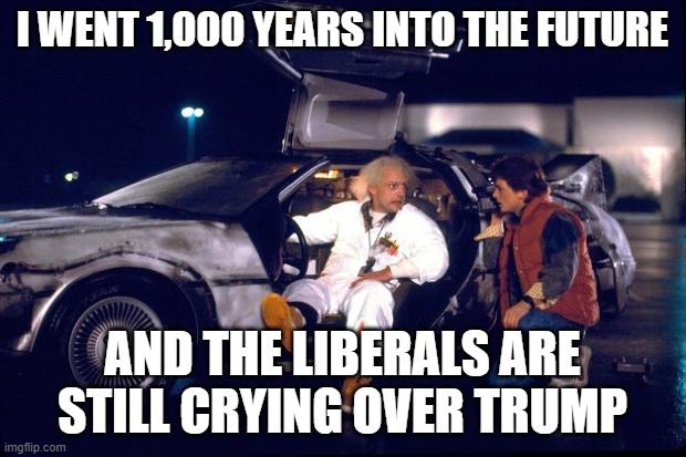 Back to the future | I WENT 1,000 YEARS INTO THE FUTURE; AND THE LIBERALS ARE STILL CRYING OVER TRUMP | image tagged in back to the future | made w/ Imgflip meme maker
