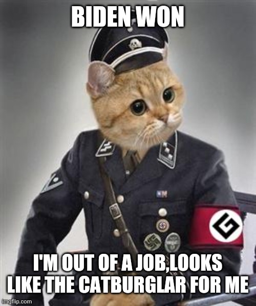 Grammar Nazi Cat | BIDEN WON; I'M OUT OF A JOB,LOOKS LIKE THE CATBURGLAR FOR ME | image tagged in grammar nazi cat | made w/ Imgflip meme maker