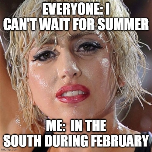 The South shall sweat again | EVERYONE: I CAN'T WAIT FOR SUMMER; ME:  IN THE SOUTH DURING FEBRUARY | image tagged in sweat,hot,summer,heat,humidity | made w/ Imgflip meme maker