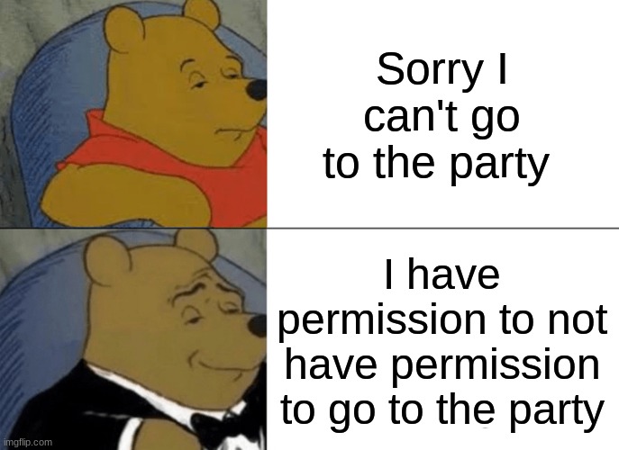 you might relate | Sorry I can't go to the party; I have permission to not have permission to go to the party | image tagged in memes,tuxedo winnie the pooh | made w/ Imgflip meme maker